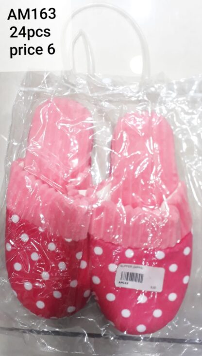 SLIPPER (24PRS)