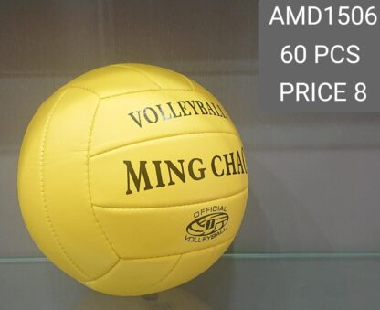 VOLLEY BALL (60 PCS)