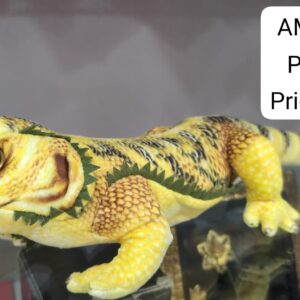 48CM LIZARD(120 PCS)